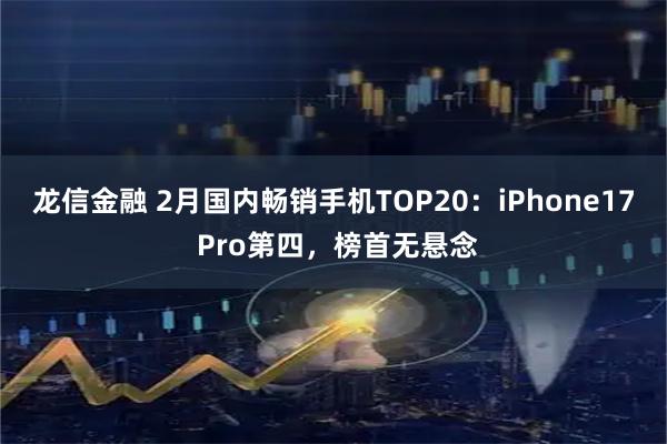 龙信金融 2月国内畅销手机TOP20：iPhone17 Pro第四，榜首无悬念