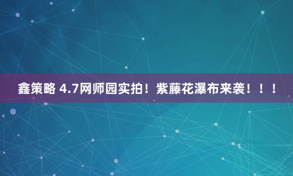 鑫策略 4.7网师园实拍！紫藤花瀑布来袭！！！
