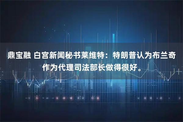 鼎宝融 白宫新闻秘书莱维特：特朗普认为布兰奇作为代理司法部长做得很好。